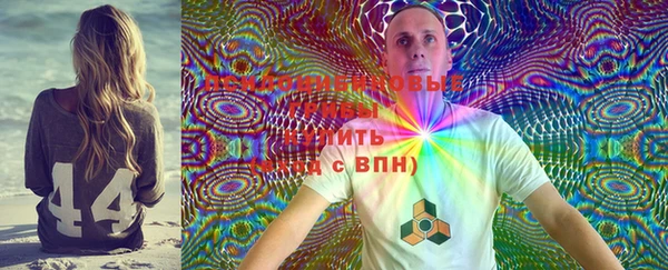 PSILOCYBIN Бугульма